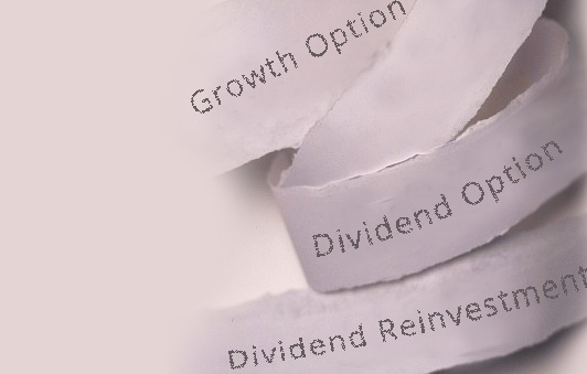 Growth option or Dividend Option for Mutual Funds